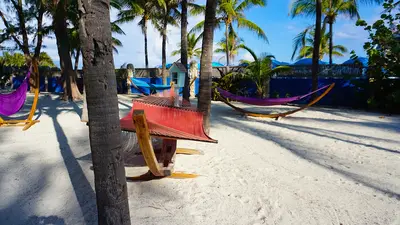 Hammocks