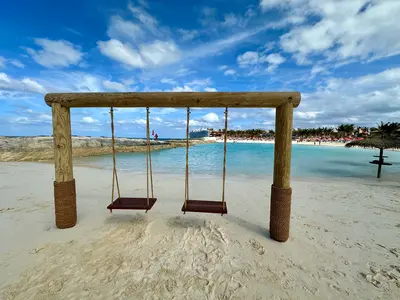 Beach swing