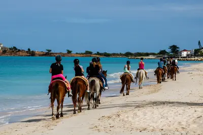 Horseback riding tour