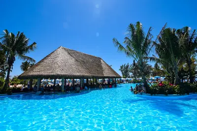 Oasis Lagoon pool